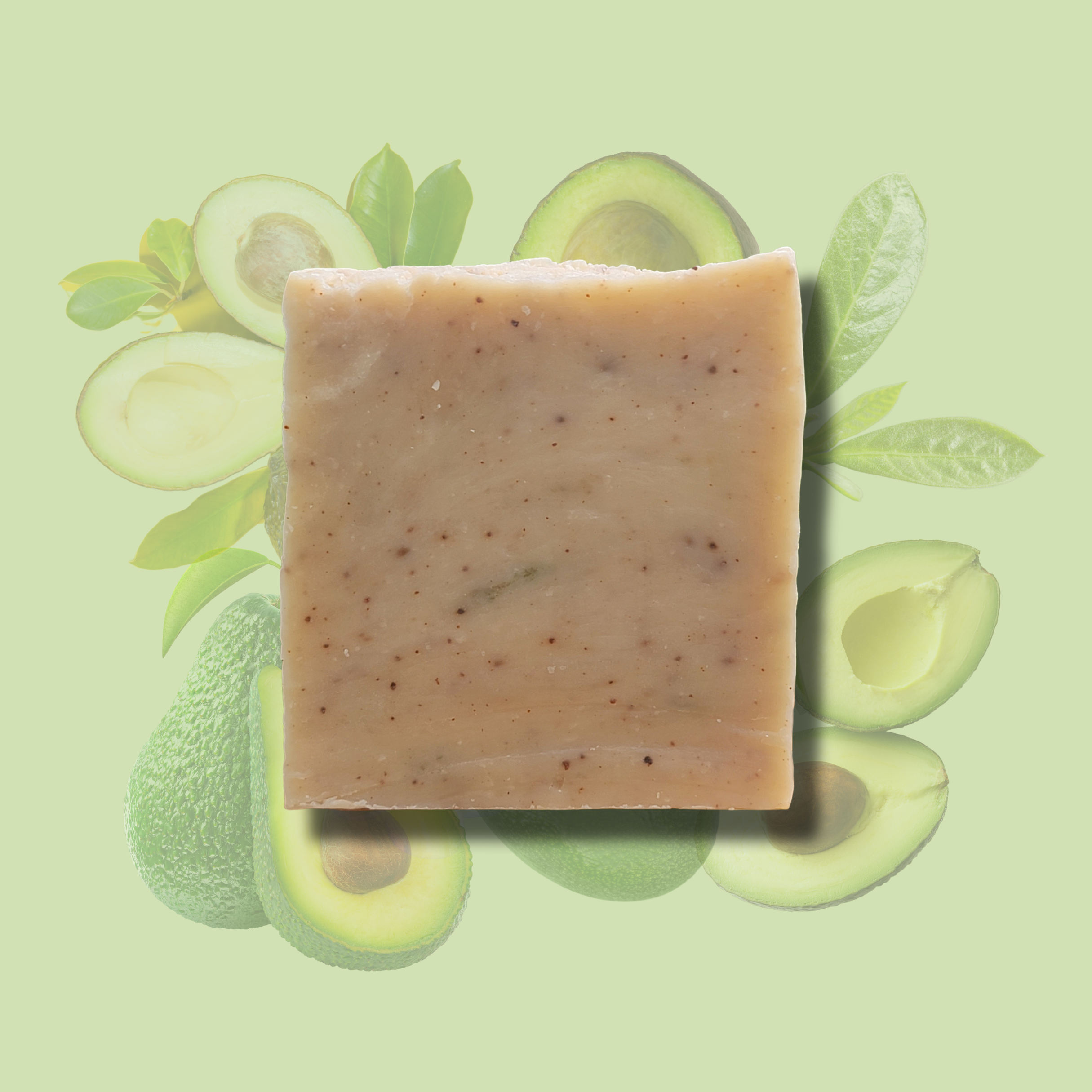 Avocado *SPECIAL ORDER* - Obsidian's LLC